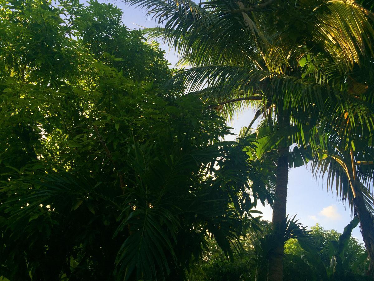Yaad Hostel Montego Bay Zewnętrze zdjęcie